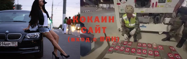 индика Баксан