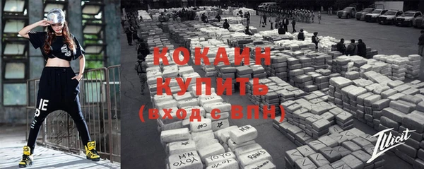 индика Баксан