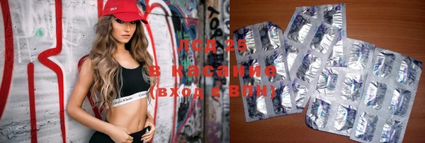 индика Баксан