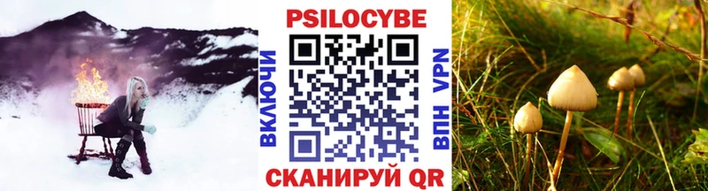 Галлюциногенные грибы Psilocybine cubensis  Солнечногорск 